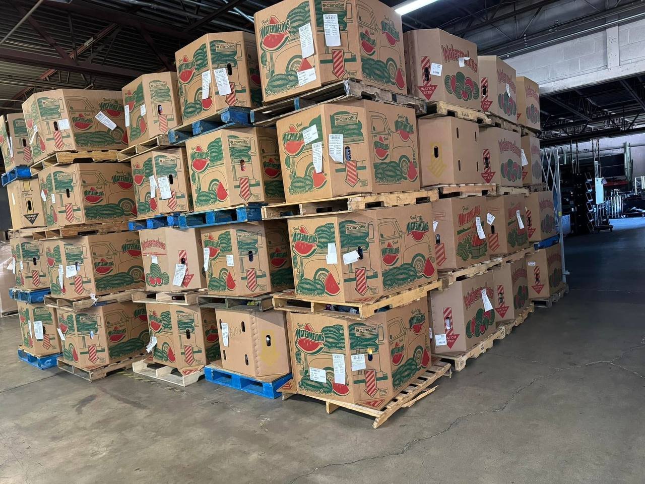 Toys pallet
