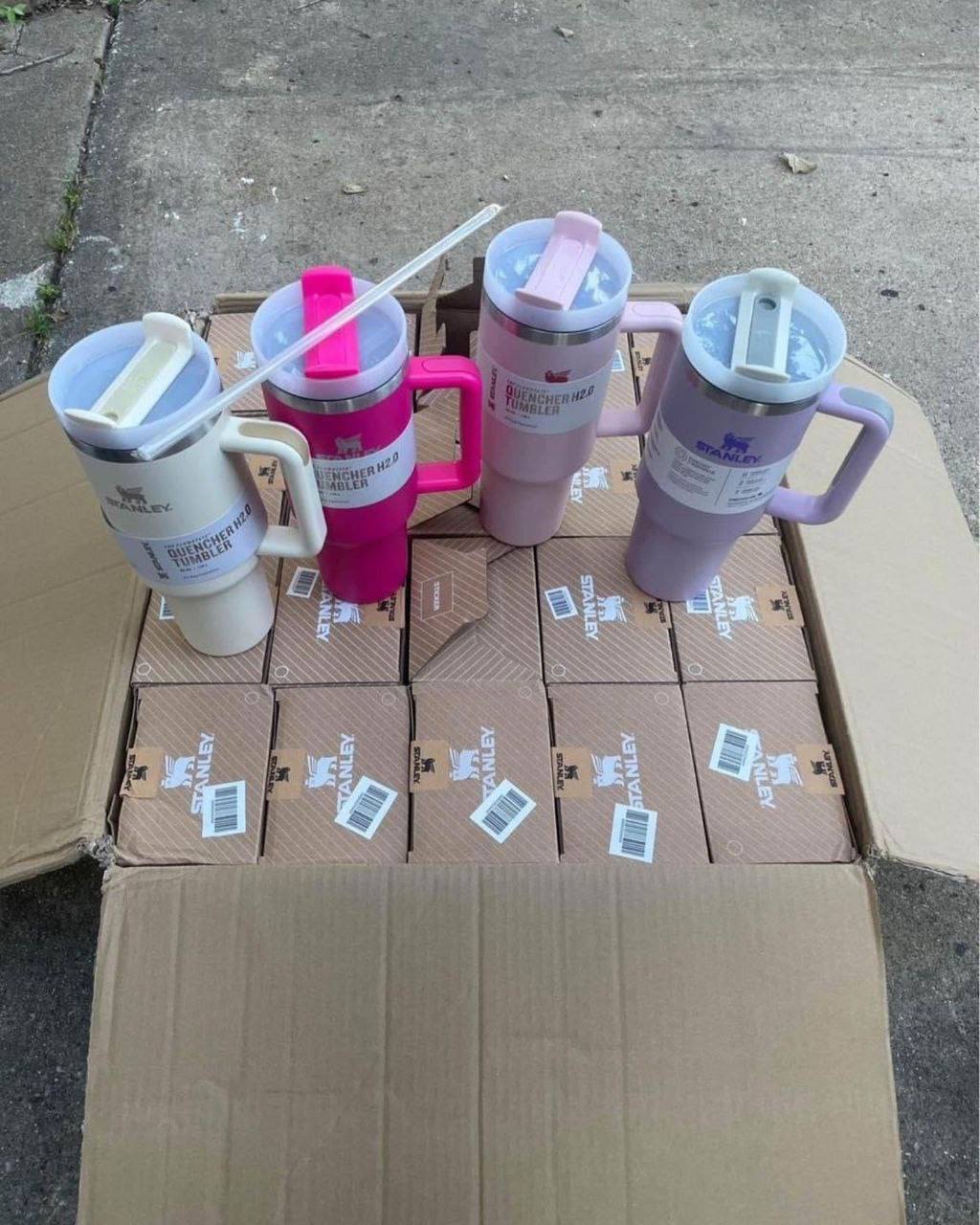 Standley Cups