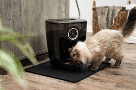 whisker feeder robot